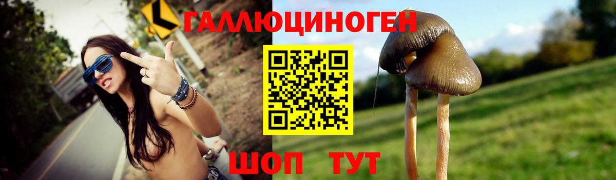 Псилоцибиновые грибы Magic Shrooms Воткинск